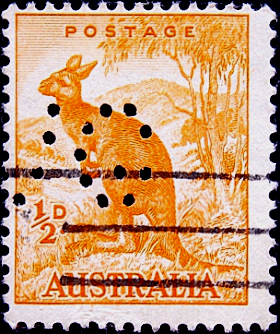 Австралия 1949 год . Рыжий кенгуру . (1)  